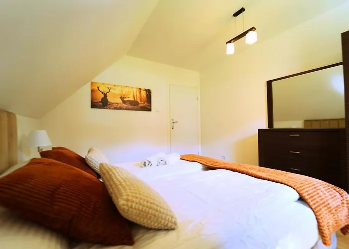 Everysky - Mysliwska * カルパッチ